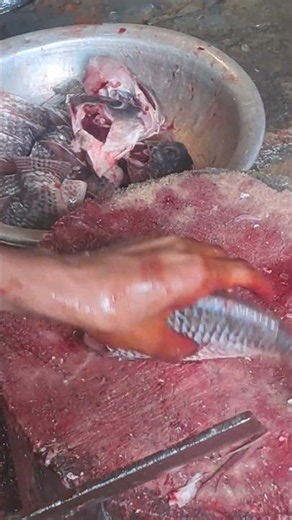 How to Cut Tilapia Fish Perfectly 🐟 #shorts #fishcutting