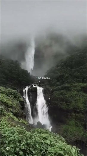 The Most Beautiful Foggy Morning You’ll Ever See 🌫️😍 | Relaxing Nature 4K #shorts
