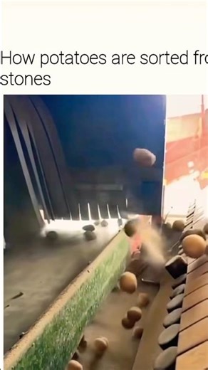 Potato Machine 🤯🤯!!