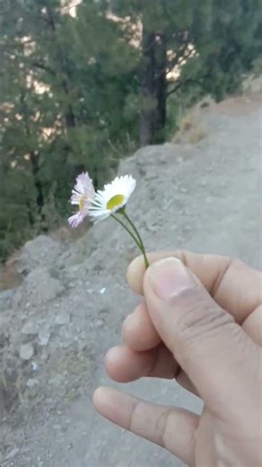 chinyali sood uttrakhand #motivation #motivational #love #bollywood 29.11.2025