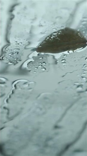 Deep Rain Atmosphere | Sleep Preview #Shorts
