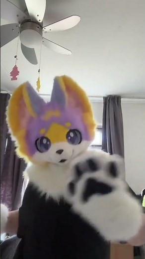 Random dance in my kemono #furry #fursuiter #fursuit #fursuiting #kemonofursuit #furries #fursona