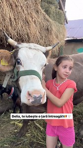 România este o țară unită! Ne-ați demonstrat, încă o dată, că atunci când ne unim putem schimba destine🥺 Această familie era în pragul disperării. Cu ajutorul vostru i-am ajutat cu: o văcuță pentru lapte, alimente, haine noi pentru toți copiii, susținere lunară. România, te iubim!💙 | Asociatia MGM