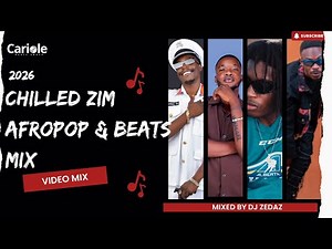 Chilled Zim Afropop & Beats Mix 🌴 Smooth African Vibes