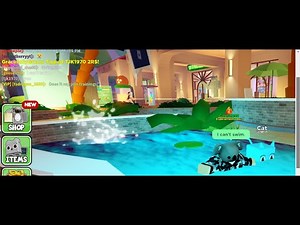 Koala cafe Experience roblox