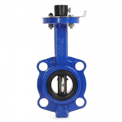 Lug Type Butterfly Valve Display & Internal Structure Demonstration