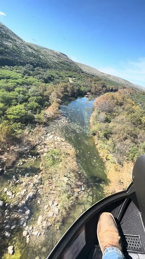 🚁 Experience the Ultimate Hunting Thrill with Helicopter Pig Hunting! 🐗 Ready to elevate your hunting adventures? Join us for a heart-pounding experience as you hunt feral hogs from a helicopter. This is the hunt you’ve been dreaming of! Why Choose Us? - Unmatched Excitement: Aerial hunting offers a unique and exhilarating way to take down feral hogs. - Professional Guides: Our experienced guides ensure a safe and effective hunt. - All-Inclusive Packages: Enjoy unlimited ammo, top-quality gear