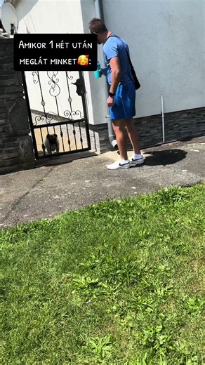 #yoda#pug #mylittledog #alwayshappy🤍