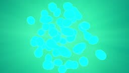 Cellular Division Under Microscope. Mitosis, The Process Of Cell...