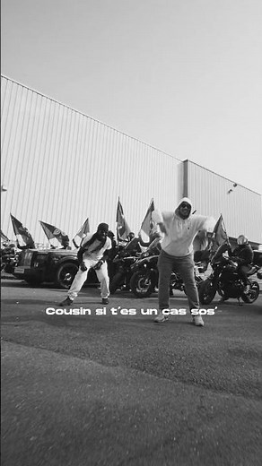 T'as jamais vu un clip avec autant de drapeaux FDL Le Zaz & DJ Blunt La Danse des Bangeurs