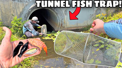 Shocking Discovery in a Hidden Tunnel Filled with Rare Fish!