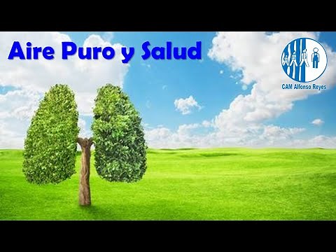 AIRE PURO Y SALUD (VIDA SALUDABLE Y EN ARMONÍA)