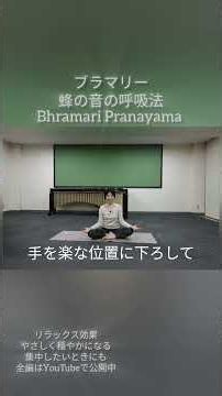 ブラマリー蜂の音の呼吸#自律神経を整える #癒しの音楽