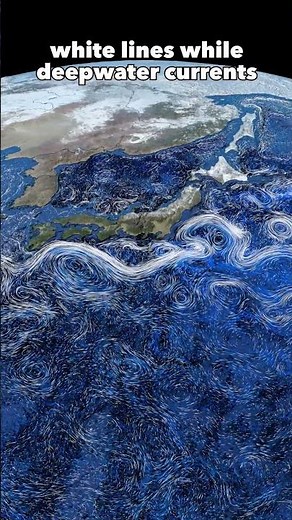 What do ocean currents look like on a globe?