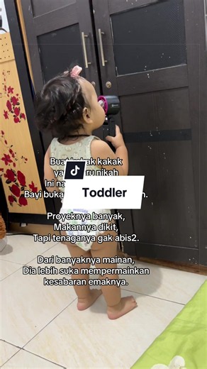 Toddlers: Buat Kakak yang Baru Nikah Ini Namanya Toddler