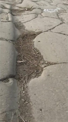 Roman Concrete: Self-Healing Secret to 2000-Year Strength