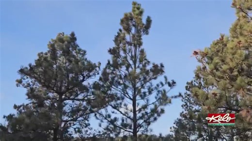 Winter weather impacting KELOLAND