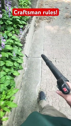 Craftsman Backpack Leaf Blower - Craftsman 46-cc 2-cycle Gas
