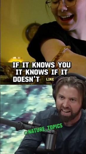 Unlocking the Mind of the Alien-Like Octopus | Forrest Galante & Joe Rogan