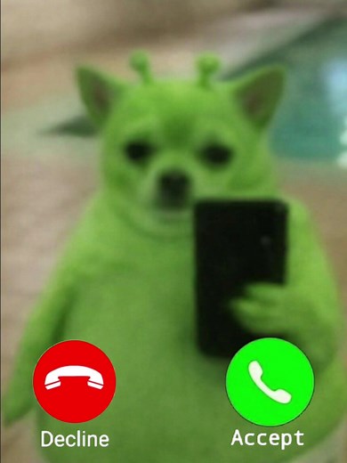 Dog Fascinated by FaceTime with an Alien
