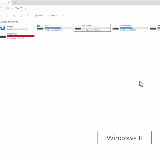 Windows 11 Disk Formatting