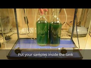 Spirulina Algae Bioreactor