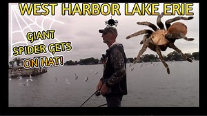 Massive Spider Visits While Bass Fishing West Harbor of Lake Erie