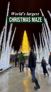 24K views · 231 reactions | Escape to the world’s largest illuminated winter wonderland at Enchant just 20 minutes away from Milwaukee❄️ | Visit Milwaukee | Facebook