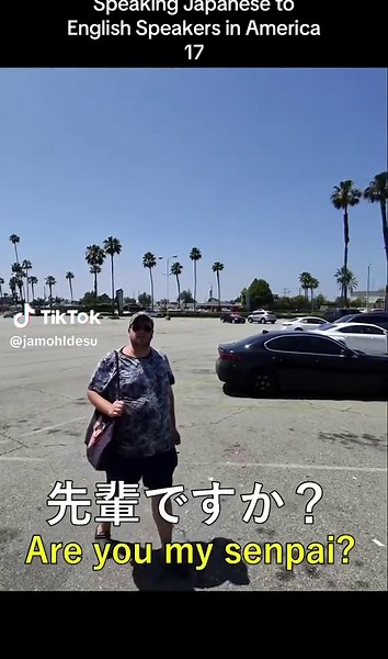 Was He My Senpai? A Japanese Anime Exploration