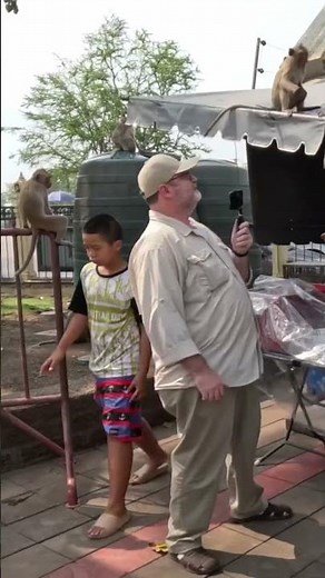 Monkey Jumps On Me at Thailand Temple! 🐒