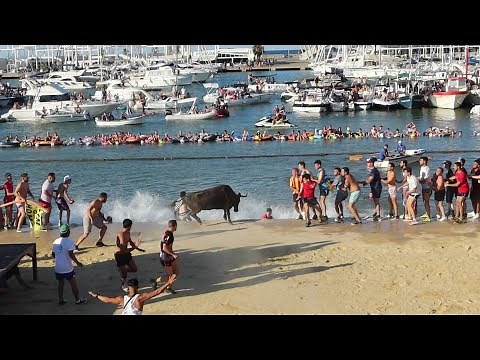 Bous a la Mar. Denia 09.07.2022 , Ganadería la Paloma