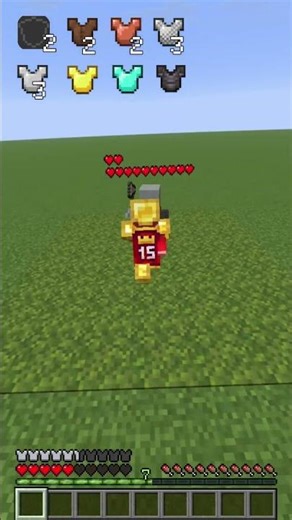 ALL ARMORS vs VINDICATOR 😱 | #minecraft #shorts #viral
