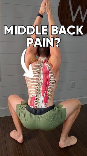 Middle back pain relief exercises #backpain