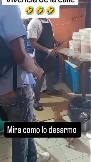 Miren como lo desarmo #memepage #memeaccount #memes #paratiiiiiiiiiiiiiiiiiiiiiiiiiiiiiii | Mr Retro