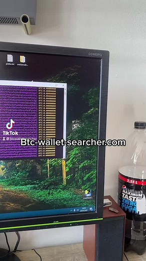 btc-wallet-searcher na TikTok