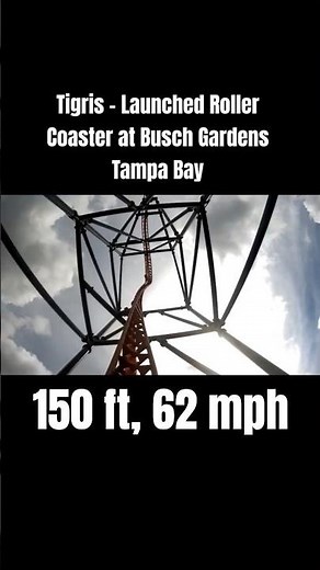 Tigris - Launched Roller Coaster at Busch Gardens Tampa Bay (full ride video on channel)
