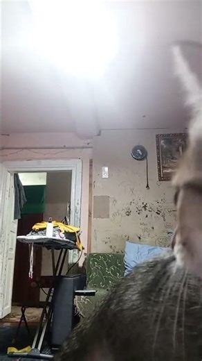 3 марта 2026 г.