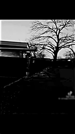 #salvador baile para @𝔯𝔞𝔪𝔬𝔰 𝔰𝔞𝔩𝔳𝔞𝔡𝔬𝔯 #ramos Actor saliendo de la escuela tras recibir 21 regalos #based