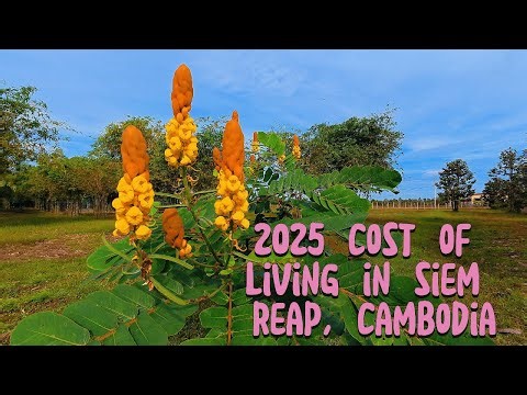 Living in Siem Reap 2025: A Cost of Living Breakdown