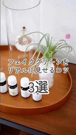 フェイクグリーンをリアルに見せるコツ3選【前編】 #フェイクグリーン #アーティフィシャルフラワー #造花 #インテリア