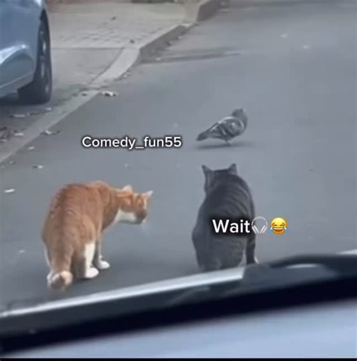 Comedy fun | #viral #funny #insta | Instagram