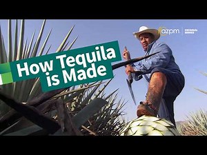 Inside Tequila | Making Mexico's most iconic spirit | The Desert Speaks