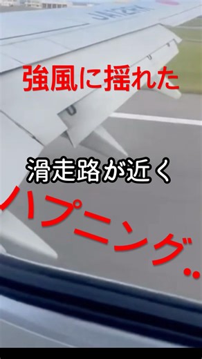 あなたは..どうしますか？ #飛行機 #ゴーアラウンド #衝撃の事実