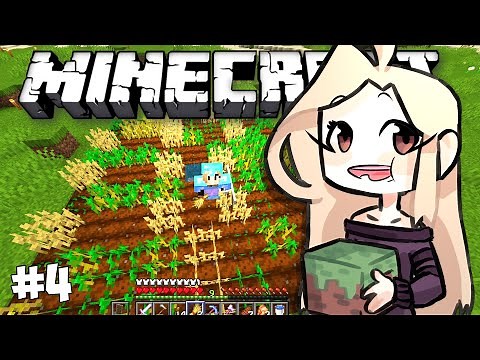 Débuter en SURVIE MINECRAFT: FOURS rapides, BIOMES et Faire un CHAMPS !! EP 4 ( Tutoriel MC )