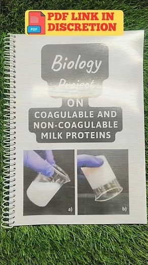 Biology Project On Coagulable and Non-Coagulable Milk Proteins || #diy #project #class12 #biology