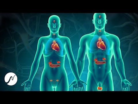Healing Frequencies (1335 Hz) - Normalize Adrenal Function & Balance Hormones Naturally