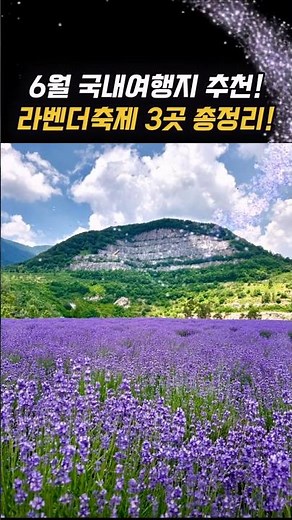 A Comprehensive Guide to 3 Recommended Lavender Festivals for June Travel!
