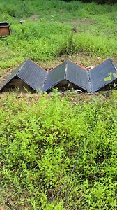 Pond bubbler running on solar #narrowayhomestead #offgridlife #solar #solarcart #aeration #pond | Nate Petroski