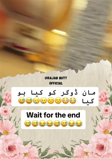 Rajab Family Daily Vlogs: Hilarious Moments Await