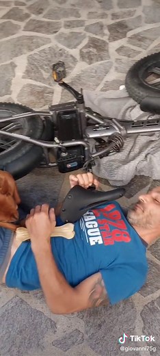 Man Interacts with Dog in Outdoor Setting